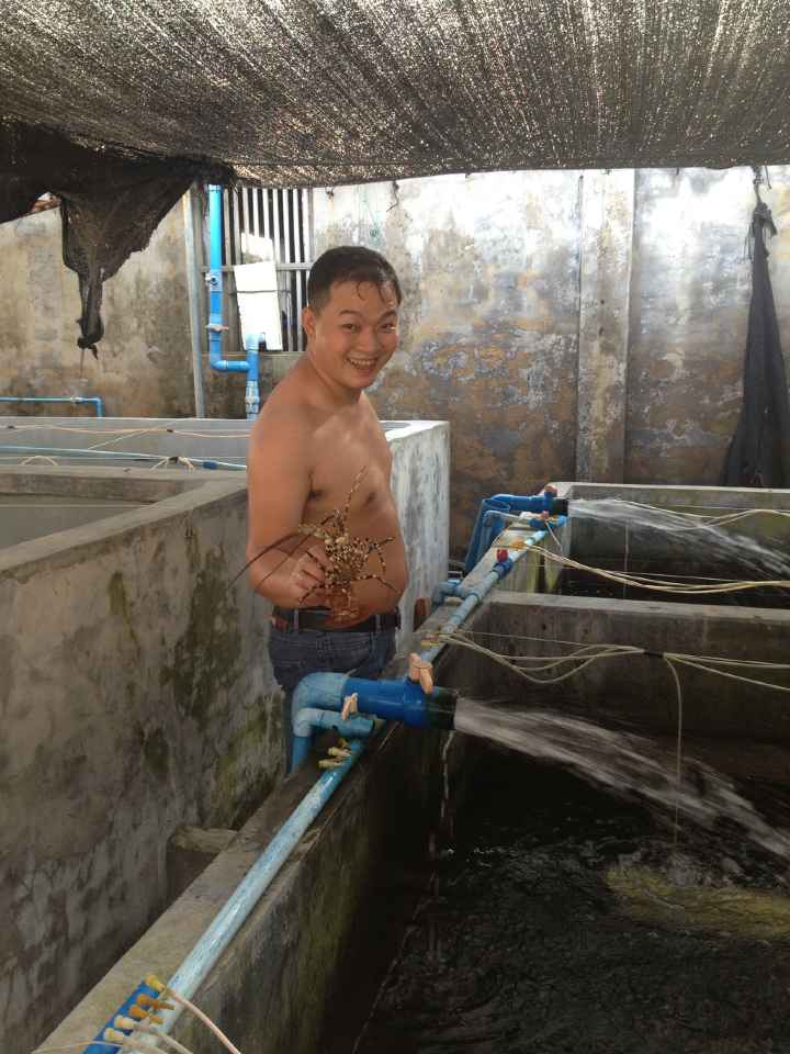 臭氧在水產養(yǎng)殖中好處與應用