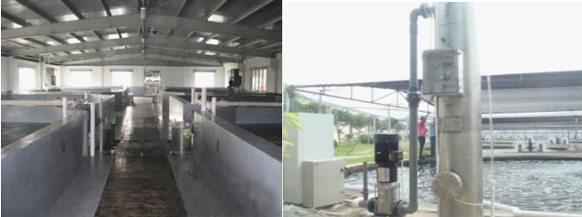 1490083404105789.jpg 水產(chǎn)養(yǎng)殖案例.jpg